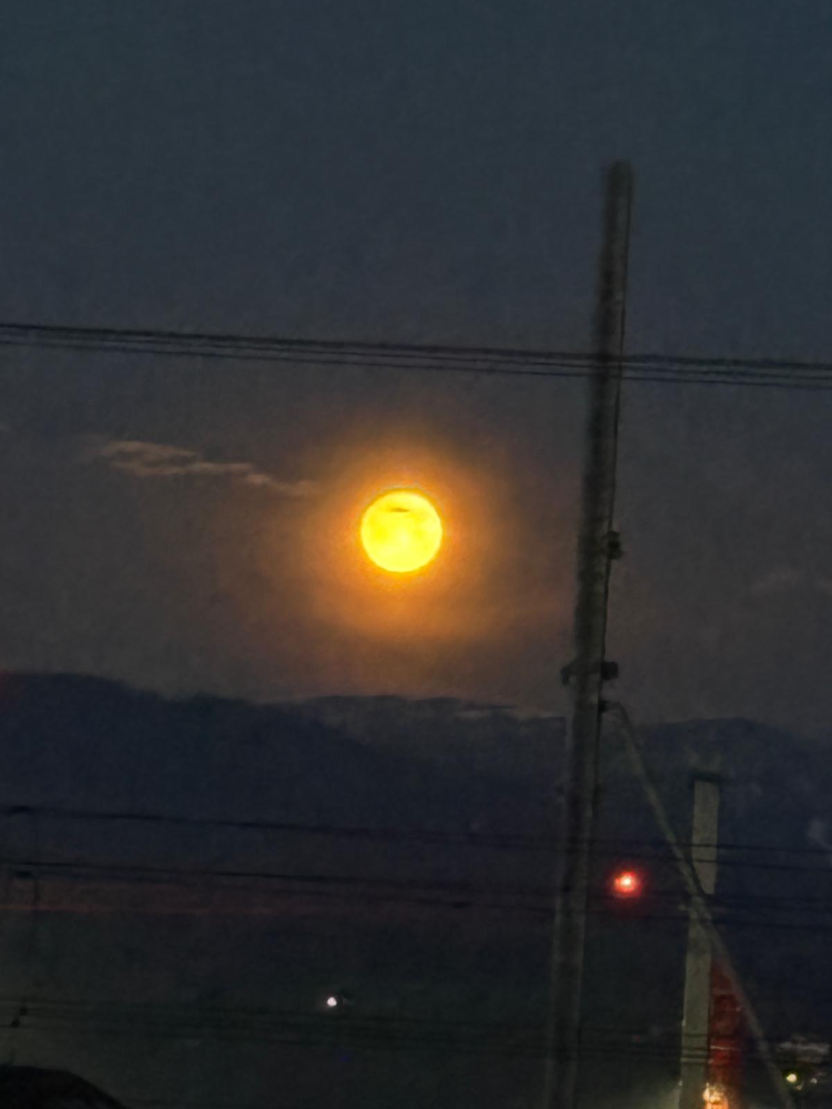 Pleine Orange Poteau